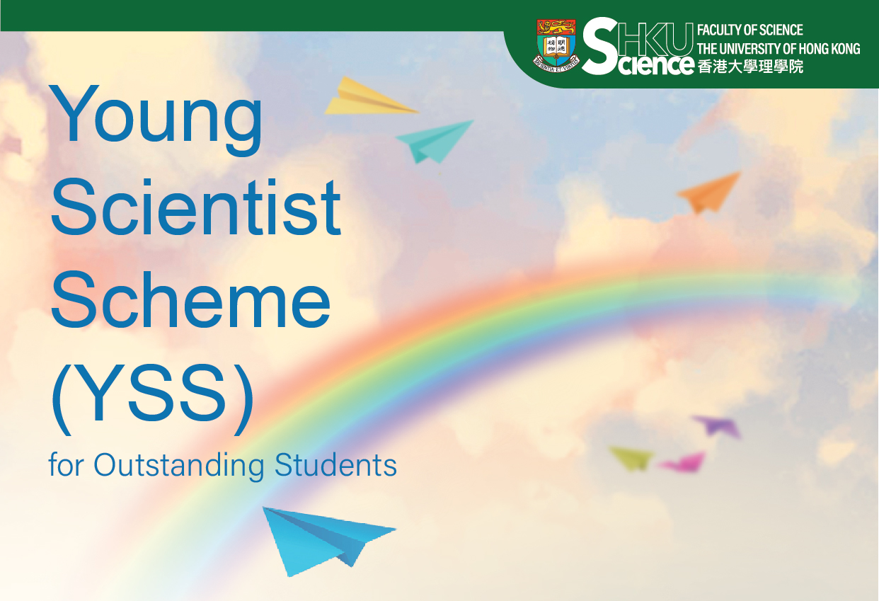 YSS leaflet cover